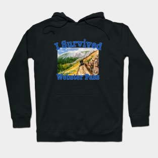 I Survived Webster Pass, Colorado Hoodie